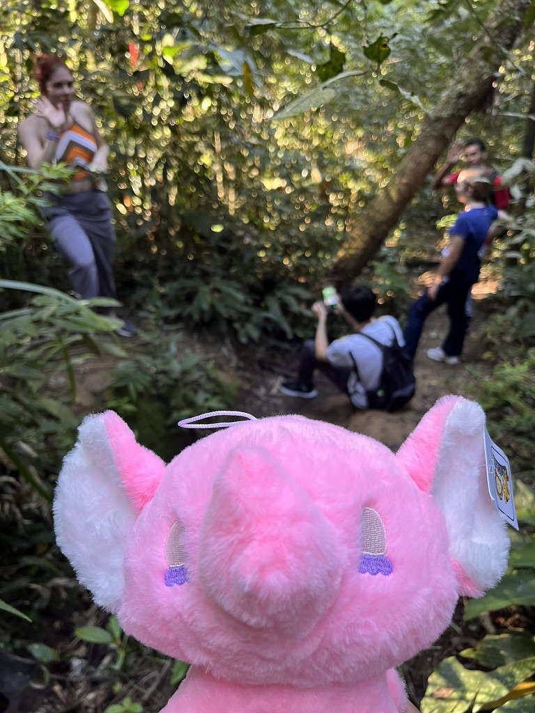Selfie de Vitinho em meio a trilha do Morro do Escalpado