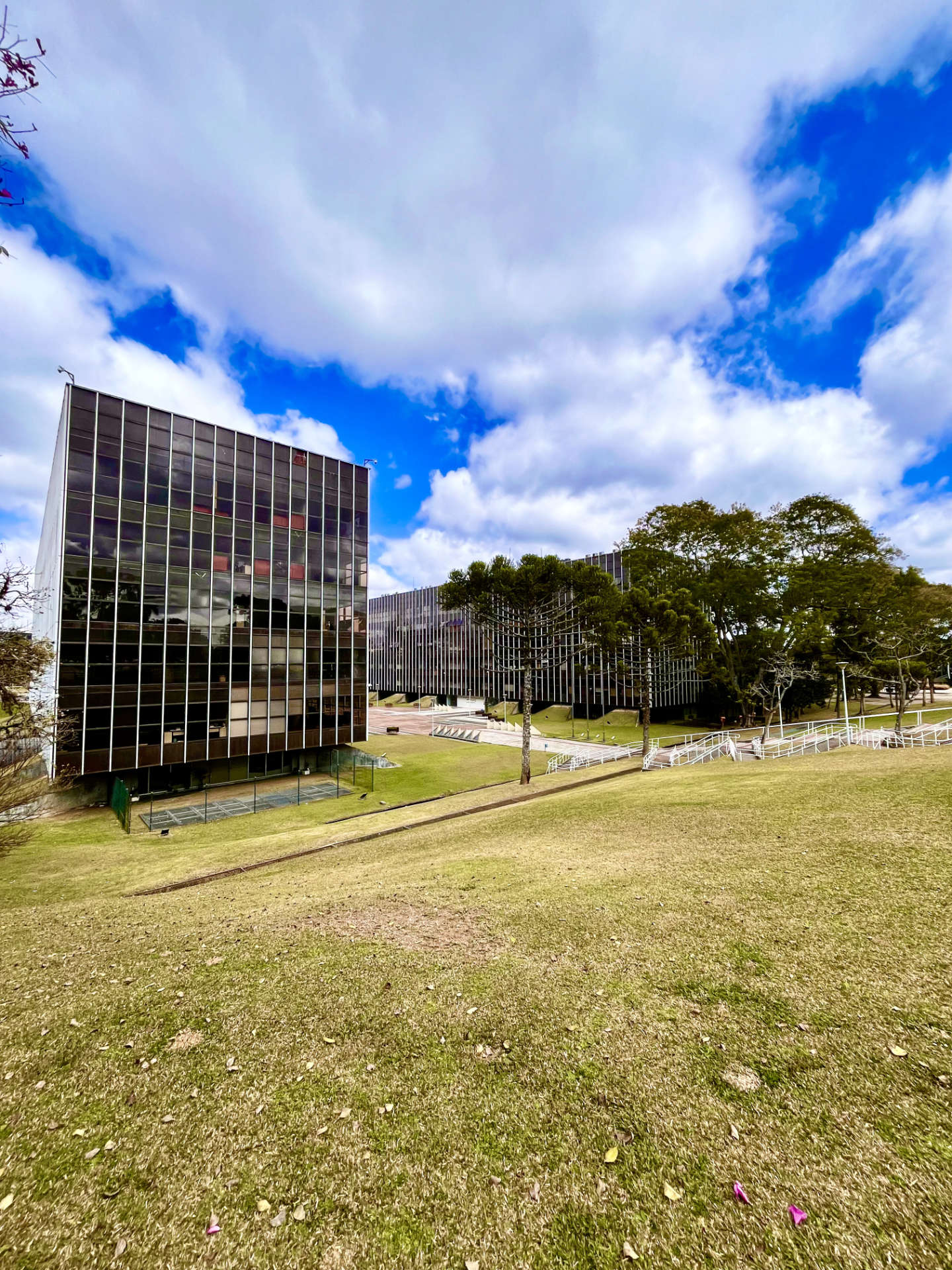 Prédio do centro de Curitiba PR | Alef Rodrigues Rosa 2025