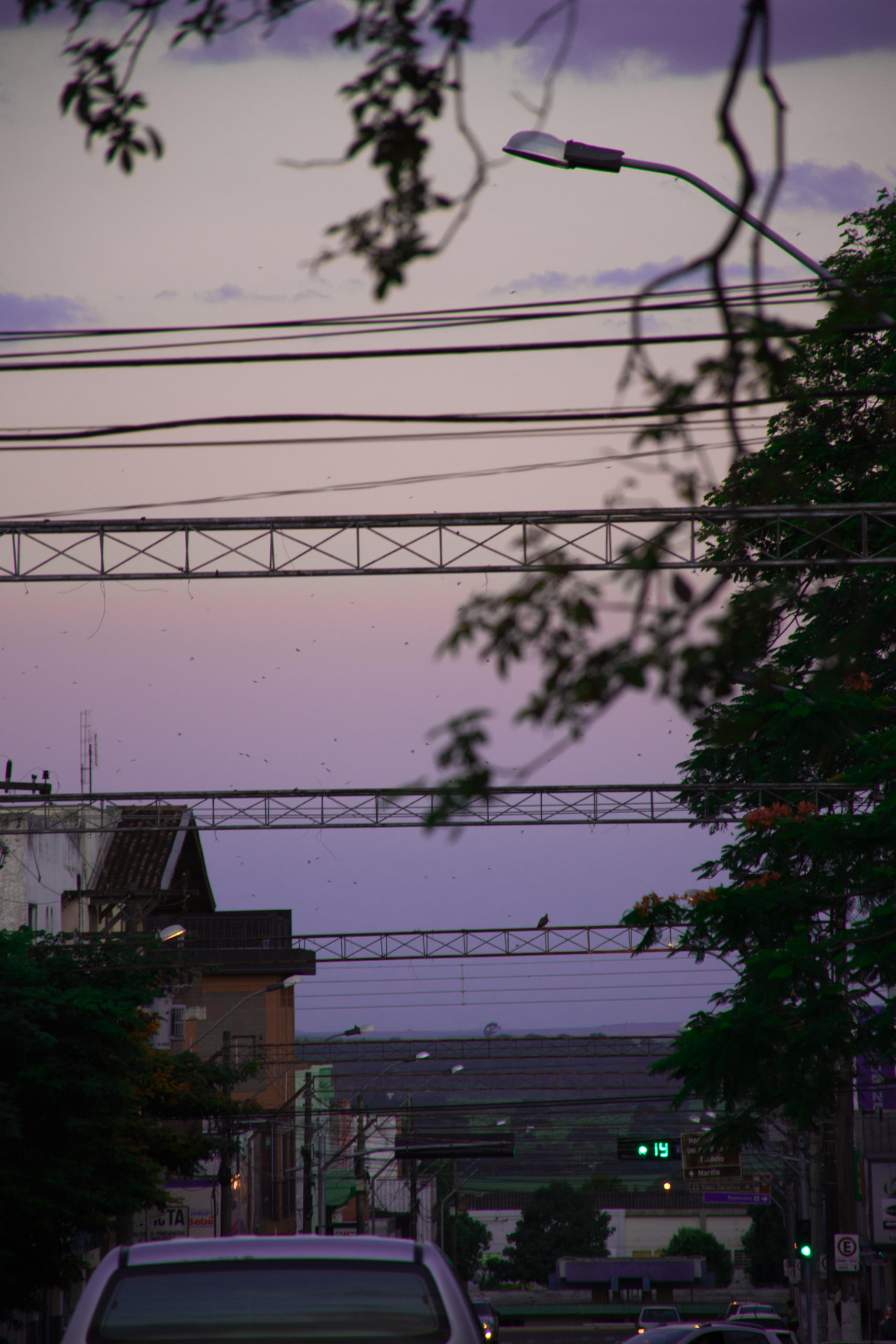 Violeta ao fim de tarde em Paraguaçu Paulista