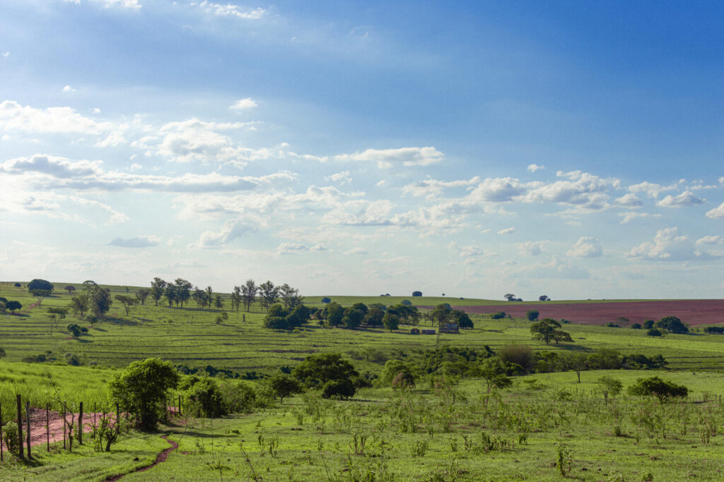 Casa no Campo, Quatá | Por Alef Rodrigues Rosa 2020