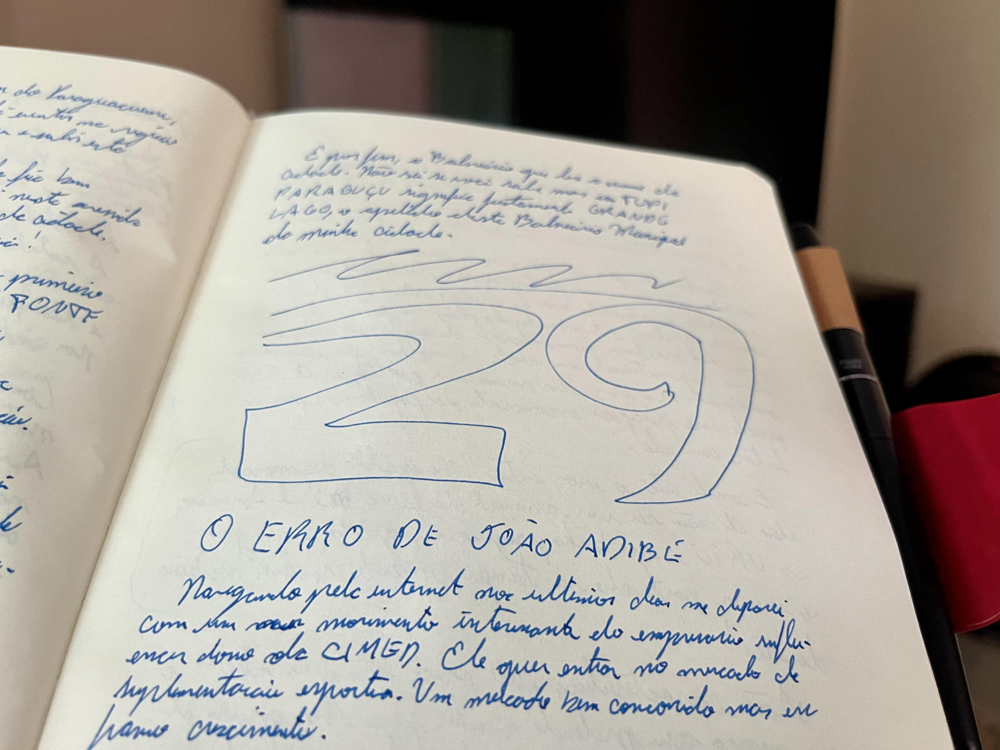 Artigo O erro de Joao Adibe